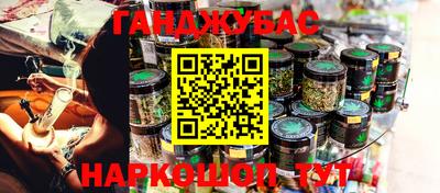 крисы Малгобек
