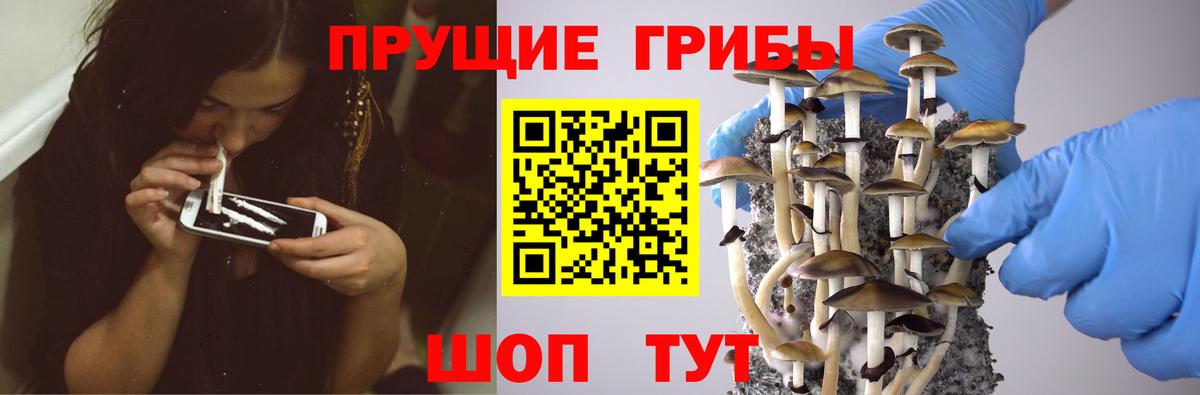 Галлюциногенные грибы Cubensis  хочу наркоту  Златоуст  Вход с VPN 